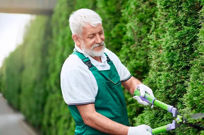 Портрет человека