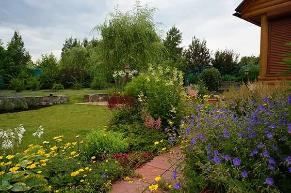 Портрет человека