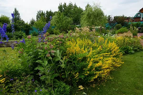 Портрет человека